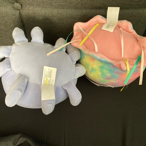 8” Confetti Party Squishmallows 🎉 - Picture 5 of 5